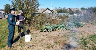 Профилактические мероприятия по предупреждению палов сухой растительности провели спасатели Докшицкого РОЧС