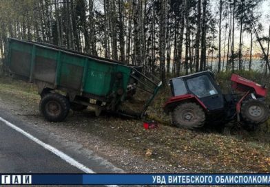 ДТП в Докшицком районе: пострадал водитель