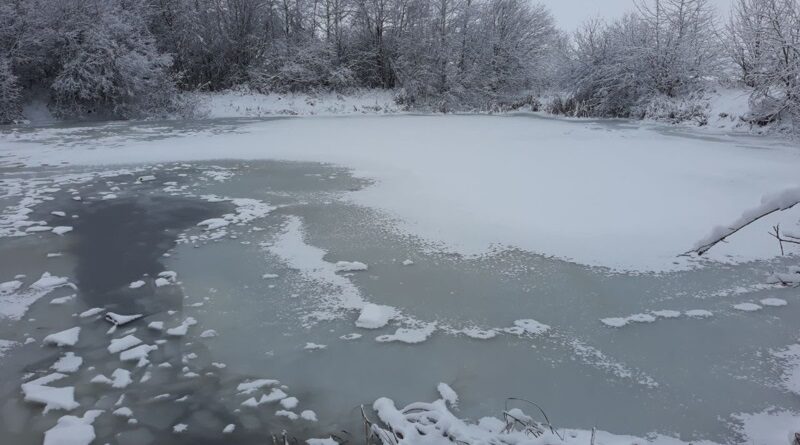 Водоём с